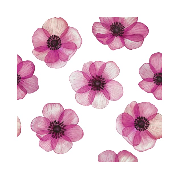 Transparent Pink Anemones watercolor print. Translucent Poppy flowers spring romantic composition by likapix