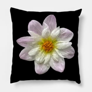 Pretty purple white yellow Dahlia Botanical Bee Flower Annual Pillow