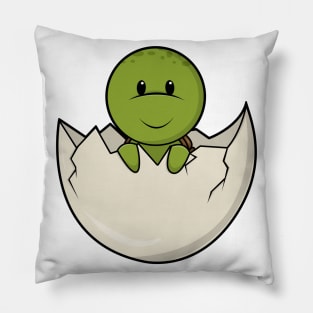 Turtle as Baby with Eggshell Pillow