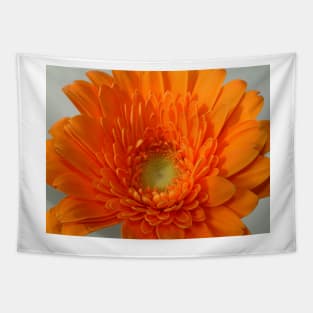 orange gerbera Tapestry