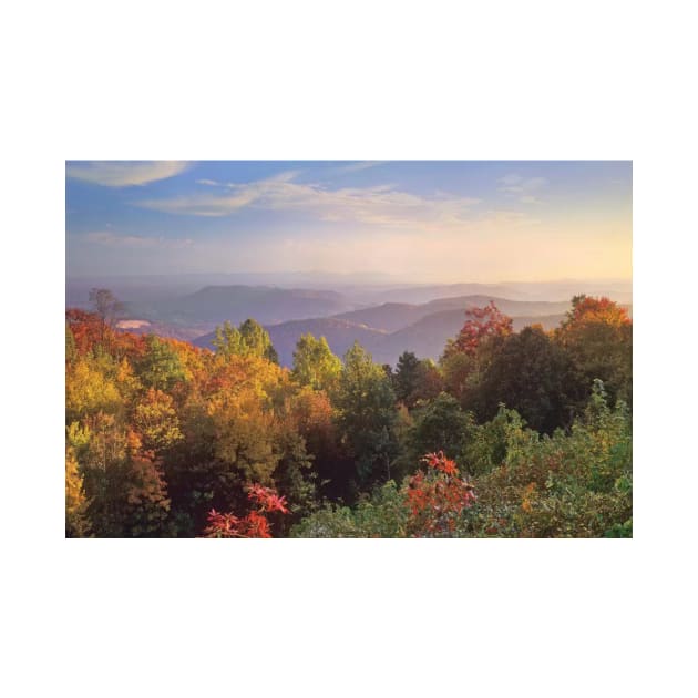 Deciduous Forest In Autumn Blue Ridge Mountains From Doughton Park by RhysDawson