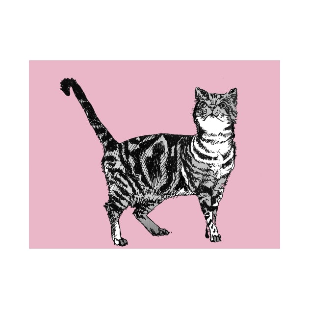 Cute Striped Tabby Cat Art Pink by SarahRajkotwala