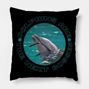 dolphins are the next bosses Pillow