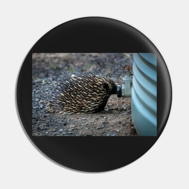 Thirsty Echidna Pin by Bevlyn