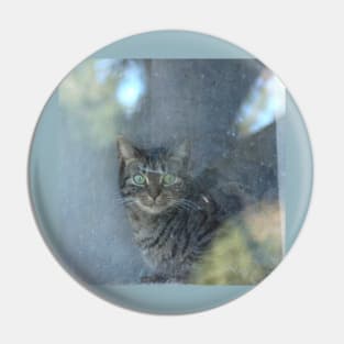 Cat behind a glass pane Pin