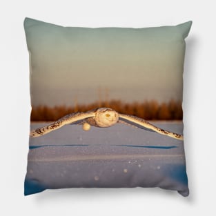 Snowy Owl Pillow