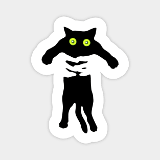 Cat miaw Magnet