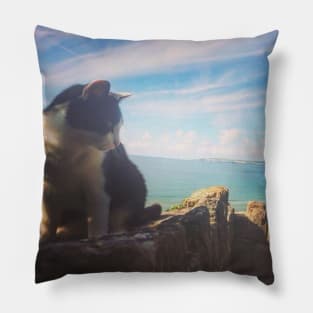 Cat on the coast Pillow