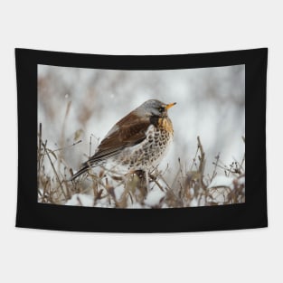 Fieldfare in the snow Tapestry