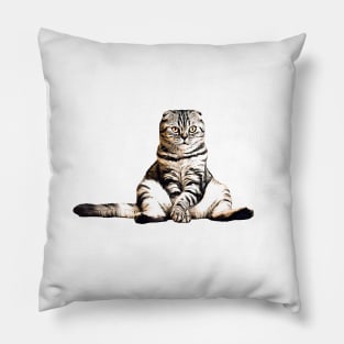 Scottish Fold - The Model Cat Pillow