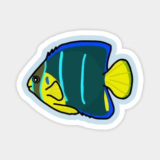 Queen Angelfish Magnet