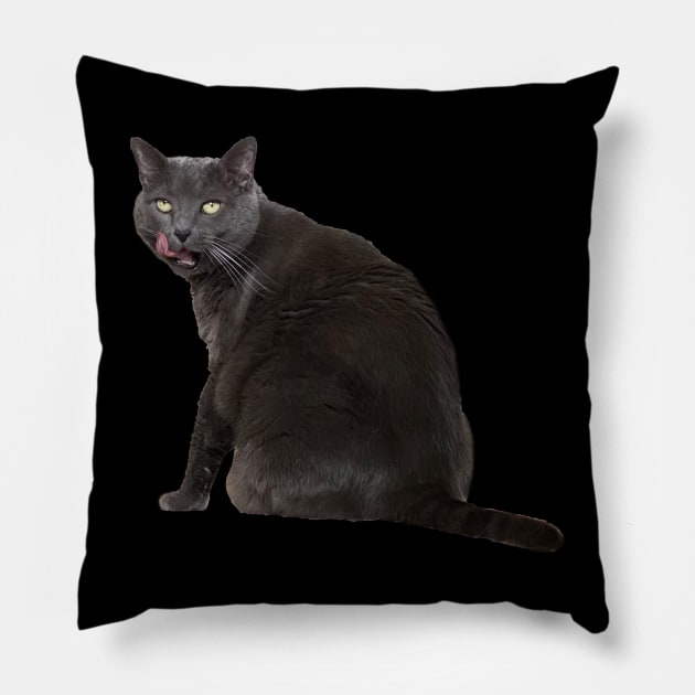 Russian Blue Cat Pillow by Kelly Louise Art