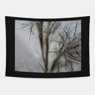 Soft fall field Tapestry