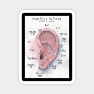 Watercolor Ear Piercing Chart Magnet