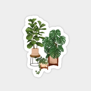 House Plants Illustration 26 Magnet