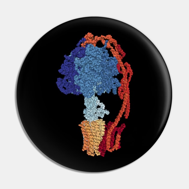 ATP synthase Pin by RosArt100