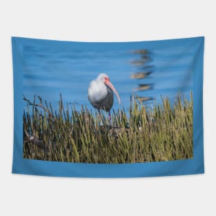 White Ibis At The Edge of Laguna Madre Tapestry