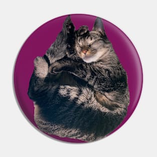 Snuggle Kitty Pin