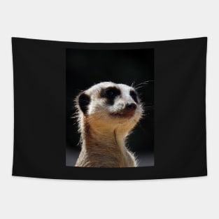 Meerkat Tapestry