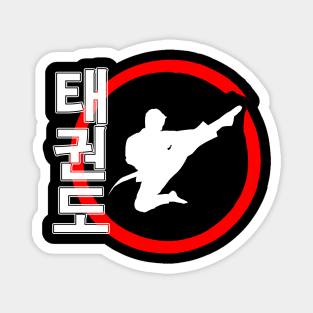 taekwondo Magnet