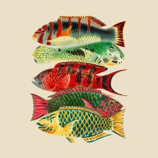 Tropical Fish T-Shirt