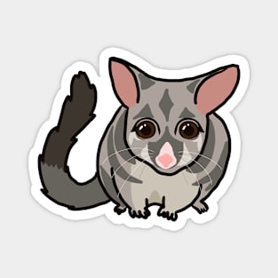 Possum Magnet