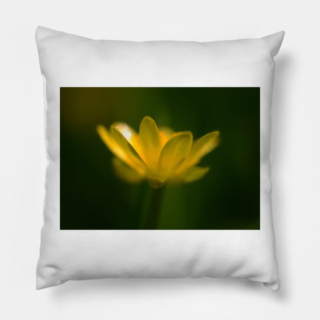 Buttercup Pillow by Nigdaw