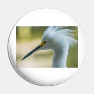 Snowy egret with a mohawk Pin