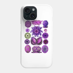 Ernst Haeckel Ascidiae Sea Squirts  Purple Phone Case