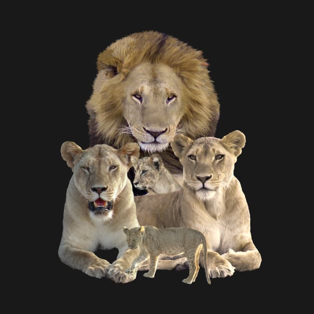 Lion Family in Kenya / Africa by T-SHIRTS UND MEHR