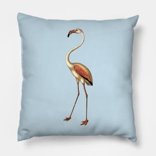 Regal romantic flamingo with beautiful long neck Pillow