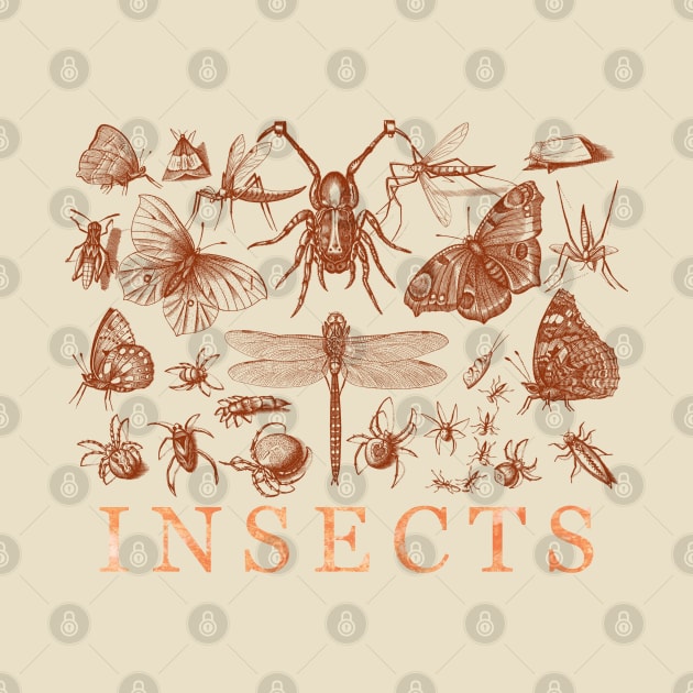 Insects by Heartsake