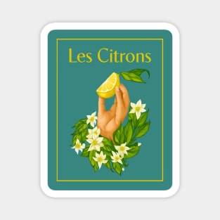 Les Citron Illustration - Lemon Citrus Design Magnet