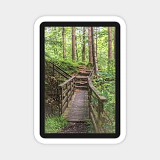 A Woodland Footbridge Magnet