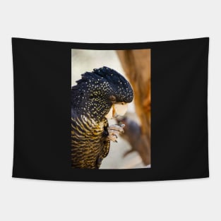 Red tailed black cockatoo. Tapestry