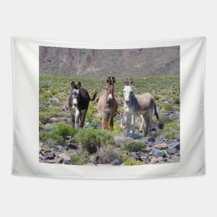 Wild burros, donkeys, wildlife, Nevada, Treasures of Marietta Tapestry