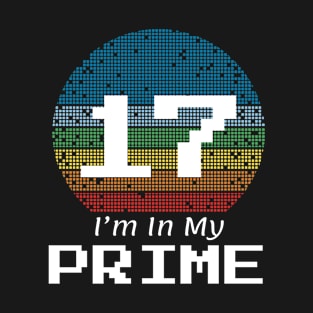 17 Year Old Prime Birthday T-Shirt