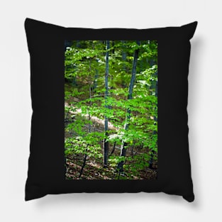 Young beech forest Pillow