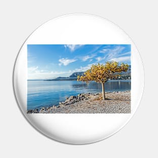 Lake Garda autumn tree Pin