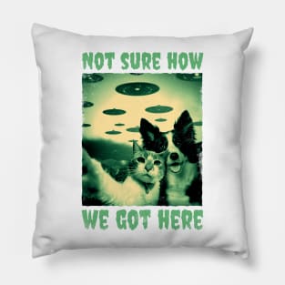 Dog and Cat UFO Pillow
