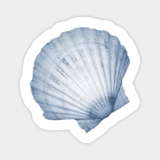 Blue fan seashell Magnet