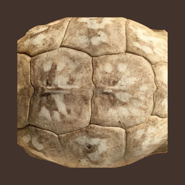 Turtle Shell bone pillow by Nature Hike