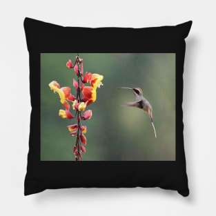 Hummingbird and two-tone flower Pillow