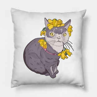 Willow The Beautiful Cat Cartoon Pillow