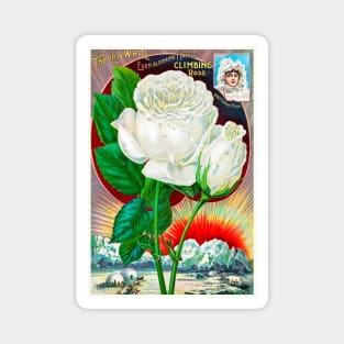 Rose Seed Catalogue Magnet