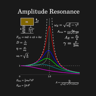 Amplitudes Response And Damping For Math Teachers T-Shirt