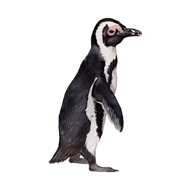 African Penguin by IndiasIllustrations