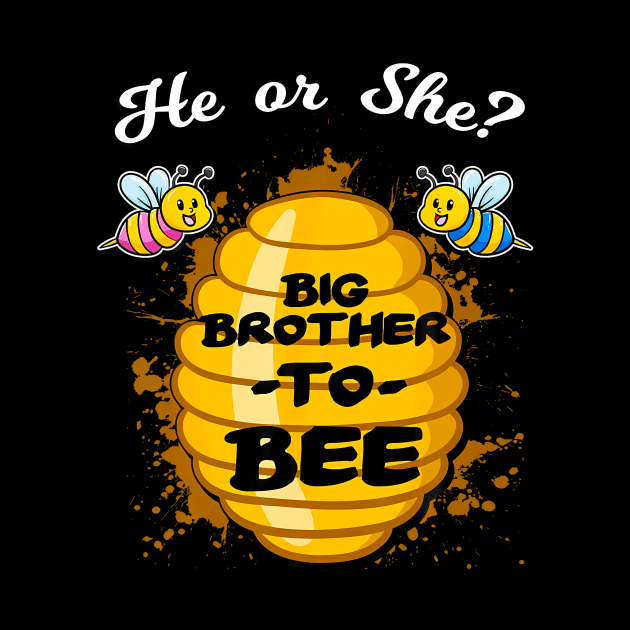 He Or She Big Brother To Bee Gender Baby Reveal Announcement by Eduardo