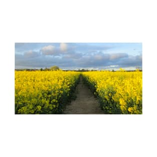 Evening Walk in the Rapeseed Fields T-Shirt