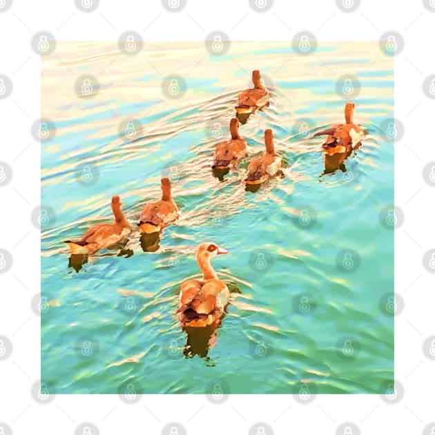 Ducks in the water,  duck, ducks,. swan, swans, sea, beach, summer, blue, bird, birds, swan, swans, spring, by PrintedDreams